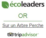 ecoleader-or-cabane