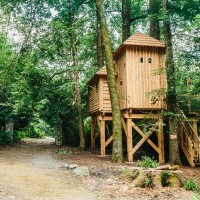 Une cabane en forme de château dans les arbres