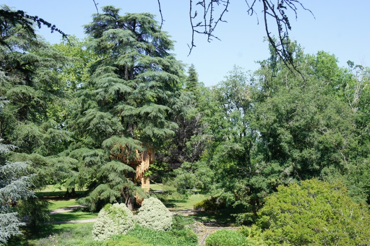 cabane-perchee-arbres